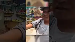 Unexpected Moments 007 #shorts #funny #unexpected