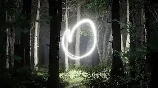 Light In The Forest (After Effects template)