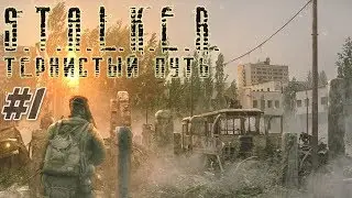 ✅ Профессор Иголкин и Счастливчик STALKER Тернистый Путь(Thorny Way) #1 + Скачать #ForastPlay