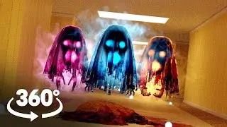 THE PACROOMS  (360° VR)