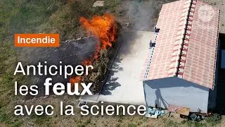 Incendies : des chercheurs aux avant-postes | Reportage CNRS