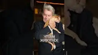 Ален Делон хотел, чтобы его собаку УСЫПИЛИ