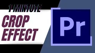 How to use CROP Effect in Adobe Premiere Pro| 
