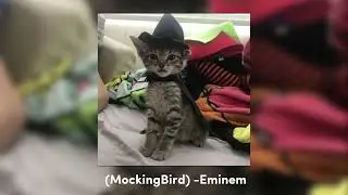 “Mockingbird” (sped up) -Eminem