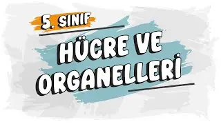 Hücre ve Organelleri | 5. Sınıf Fen Bilimleri 