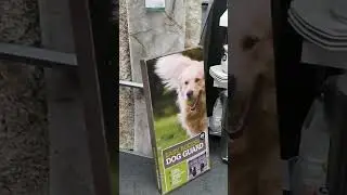 Charity shops in Uk