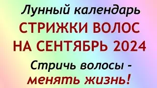 Лунный календарь СТРИЖКИ волос на сентябрь 2024. Благоприятные и неблагоприятные дни.