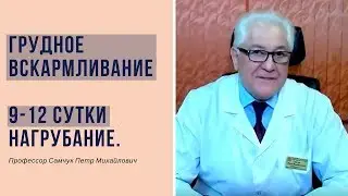 Грудное вскармливание 05.2 - Второе нагрубание 9-12 сутки.