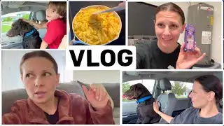 США Влог Зачем он мне послан? Чуть не поседела! Большая семья Big big family in the USA VLOG