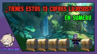 ¿Tienes Estos 13 Cofres LUJOSOS? 3.0 SUMERU / Genshin Impact Español