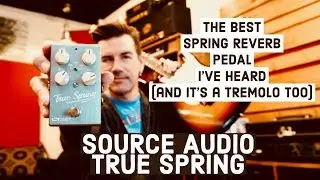 THE BEST SPRING VERB IN A PEDAL IVE HEARD - SOURCE AUDIO TRUE SPRING