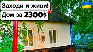🇺🇦 Заходи и живи! Дом в селе за 2300$ Продажа недвижимости за копейки! Всё есть Уютное тихое село!
