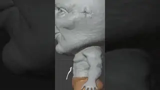 Old TikTok Part 56