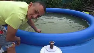 (8)ДАФНИЯ РАЗВЕДЕНИЕ.УРОЖАЙ!!!