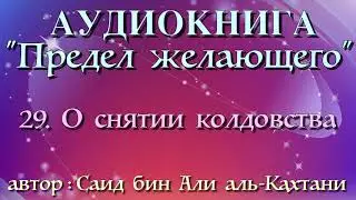 29. О снятии колдовства (АУДИОКНИГА) Предел желающего