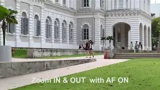 Nikon Z6  |  Z NIKKOR 24-70mm F4 S  | Video Test Review | Day Light | Fort Canning | Singapore