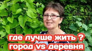 ГДЕ ЛУЧШЕ ЖИТЬ: В ГОРОДЕ ИЛИ ДЕРЕВНЕ? СТОИТ ЛИ ВЫЙДЯ НА ПЕНСИЮ ПОКУПАТЬ ДОМИК В ДЕРЕВНЕ?