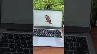 MS word parrot 🦜 