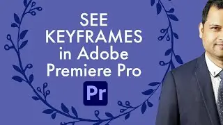 How to see keyframes in Adobe Premiere pro  | View all keyframes for clip