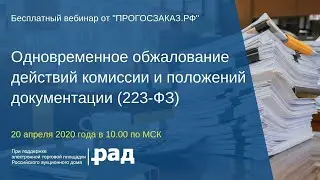 Одновременное обжалование действий комиссии и документации (223-ФЗ).