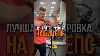 One of the best bicep workouts (only 4 exercises)