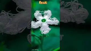 Mobile Macro Camera Photography | Vivo V25 pro Camera Photoshoot 