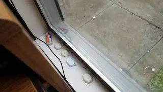 Best Ant trap comparison: Terro vs Raid vs Raid MAX
