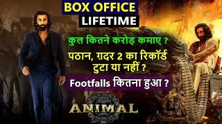 Animal Lifetime worldwide box office collection, animal hit or flop, ranbir, bobby deol, tripti