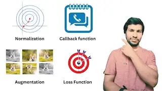 Data augmentation and loss function | DL 