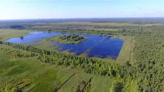 ЗАТОПЛЕННЫЕ ТОРФОРАЗРАБОТКИ В ЯРОСЛАВСКОЙ ОБЛАСТИ