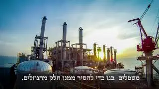 ישראל: פעילות