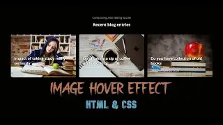 CSS Image Hover Effect | Zoom Effect Using Transform Property