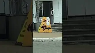 🤣🤣🤣#шортсы