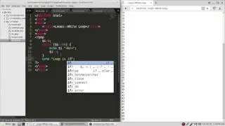 13  While Loop