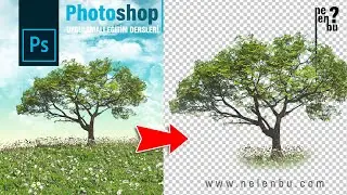 How to Decoupage Pictures that are Difficult to Choose? - Photoshop Tutorials