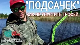 ПОДСАЧЕК в трофейной рыбалке! ЛАЙФХАКИ из опыта.