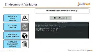LM4   Lecture 3 – Environment Variables | 