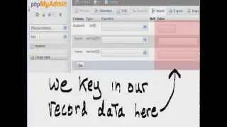 Python:  Xampp database, table, record creation