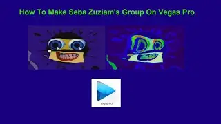 How To Make Seba Zuziam's Group On Vegas Pro