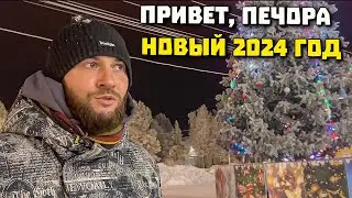 Новогодняя Печора 2024 Бедные голуби ДАЛЬШЕ ХУЖЕ?