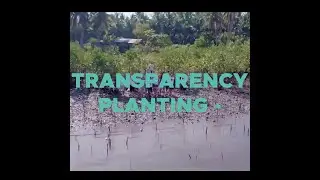 Transparency planting - where trust grows