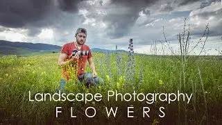 Tips for Photographing Summer Flowers | Landscape Photography