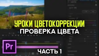 Уроки цветокоррекции природы в Adobe Premiere Pro – Проверка цвета в панели Lumetri – Часть #1