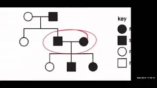 [NYGH WA2] Sec 3 IP Biology Revision