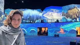 Australian Art Exhibition | Connection | The Lume Melbourne