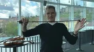 Instrumente - BAM erklärt - Die Viola - Bamberger Symphoniker Education