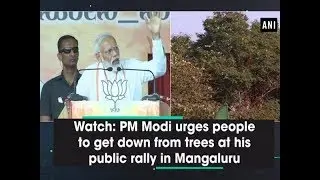 Watch: PM Modi urges people to get down from trees at his public rally in Mangaluru