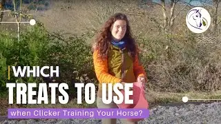 Which Treats to use when Clicker Training Your Horse? Options and Why