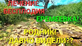 Родник Еремеевка. Лечение бесплодия. Одесская область. чудеса. Позитив. Украина. Вода. 