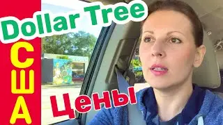 ЦЕНЫ в США | Покупки в DOLLAR TREE Всё за 1$